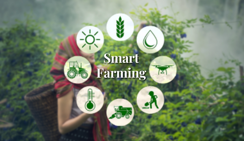 Viet Agri Wholesale uses Smart Farming method
