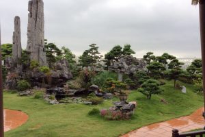 dien-dan-cay-canh-1a