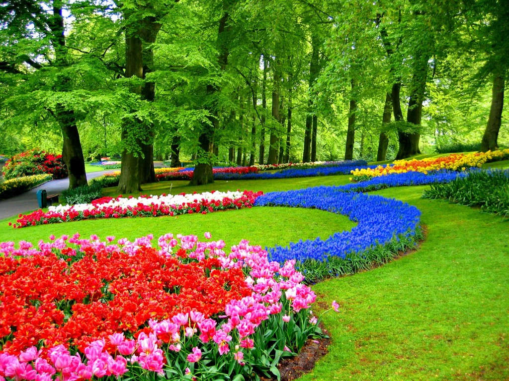 Những Vườn Hoa Đẹp Nhất Thế Giới Khiến Bạn Mê Mẩm