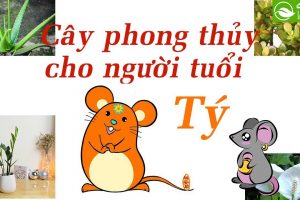 cay-phong-thuy-cho-tuoi-ty