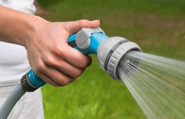 chế dộ tưới nước hoa cẩm tú cầu