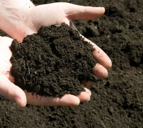 phân hữu cơ hoại mục