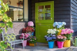 y-nghia-hoa-cam-tu-cau-net-dep-mong-manh-tuong-trung-cho-tinh-yeu