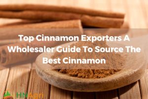 top-cinnamon-exporters-a-wholesaler-guide-to-source-the-best-cinnamon