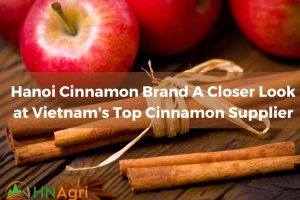 hanoi-cinnamon-brand-a-closer-look-at-vietnams-top-cinnamon-supplier-1